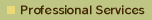 Professional Services