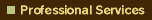 Professional Services