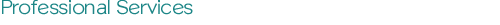 Professional Services