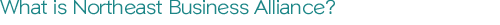 What is Northeast Business Alliance?